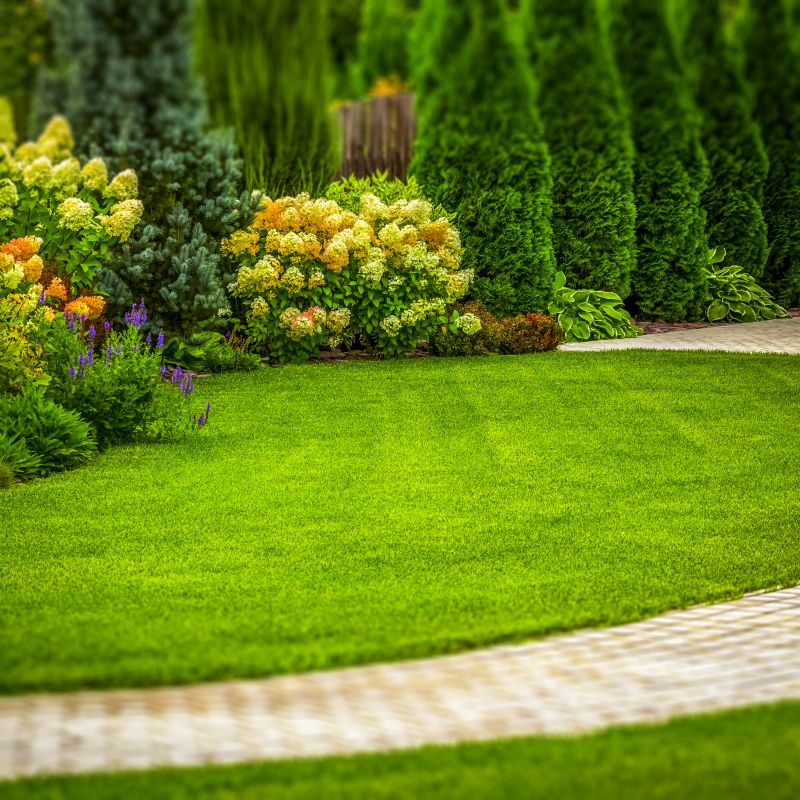 Lawn Landscaping