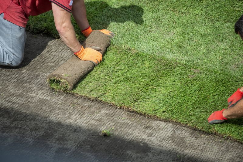 Turf Removal Service