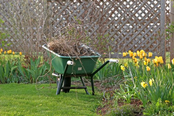 Flower Bed Cleanup Service in Cedar Park