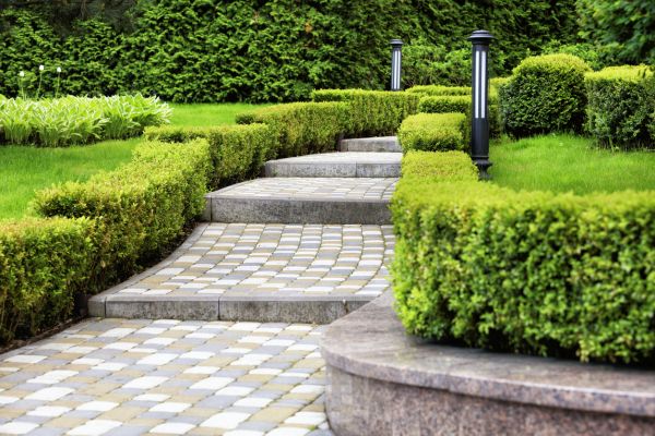 Backyard Remodeling in Cedar Park