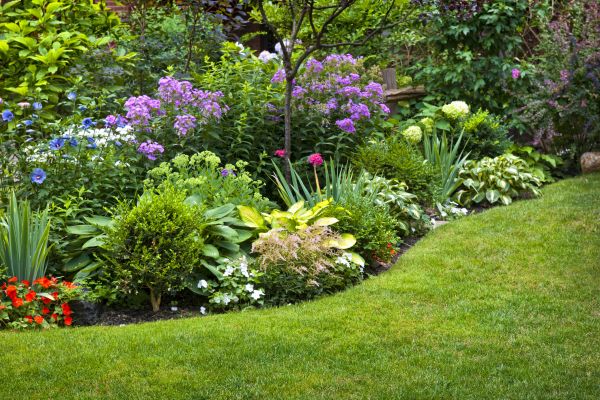 Flower Bed Service in Cedar Park