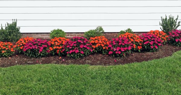 Flower Bed Weeding Service in Cedar Park
