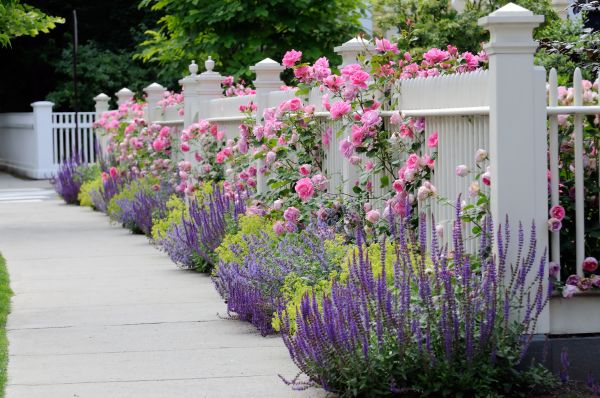 Garden Handyman Service in Cedar Park