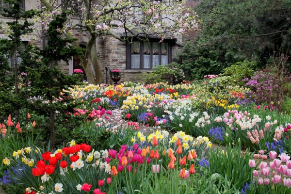 Garden Maintenance Service in Cedar Park