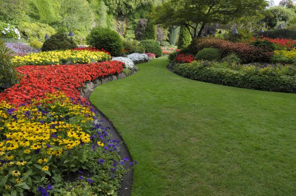 Landscaping Maintenance in Cedar Park