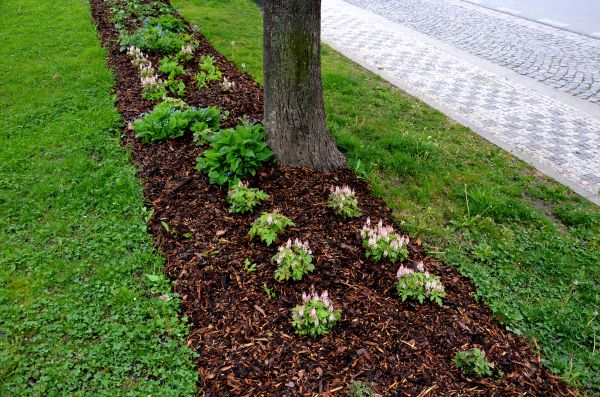 Mulch Replacement Service in Cedar Park