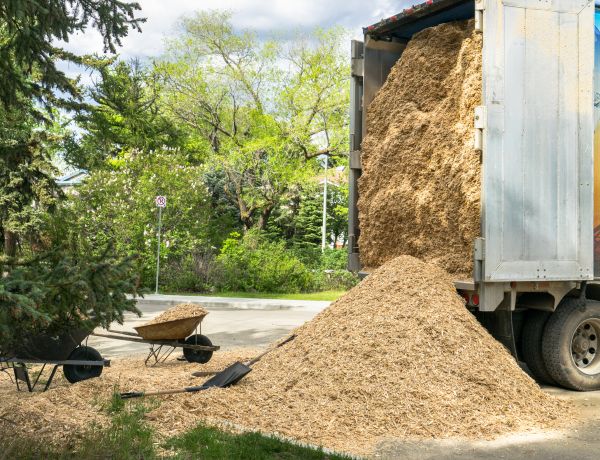 Wood Chips Delivery in Cedar Park