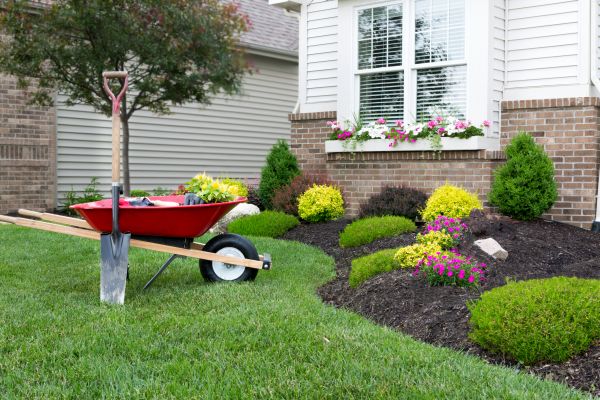Landscape Maintenance Service in Cedar Park