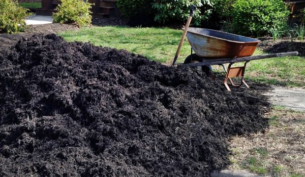 Black Mulch Delivery in Cedar Park