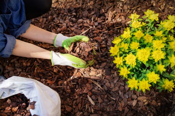 Garden Mulching in Cedar Park