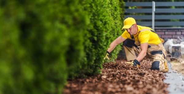 Cypress Mulch Installation in Cedar Park