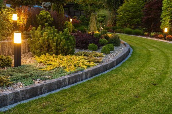 Garden Repair Service in Cedar Park