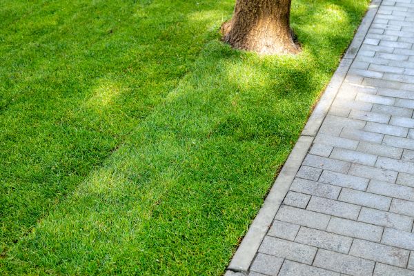 Border Stone Installation in Cedar Park