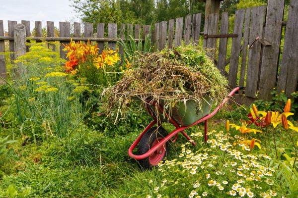 Garden Cleanup Service in Cedar Park