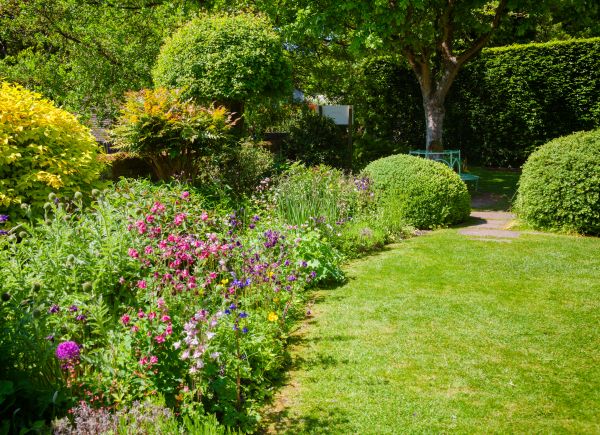Yard Landscaping Service in Cedar Park