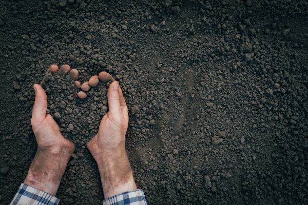 Soil Installation in Cedar Park