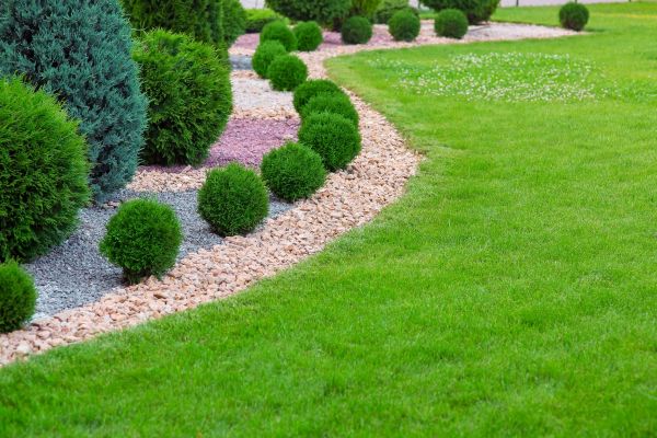 Edging Stones Installation in Cedar Park