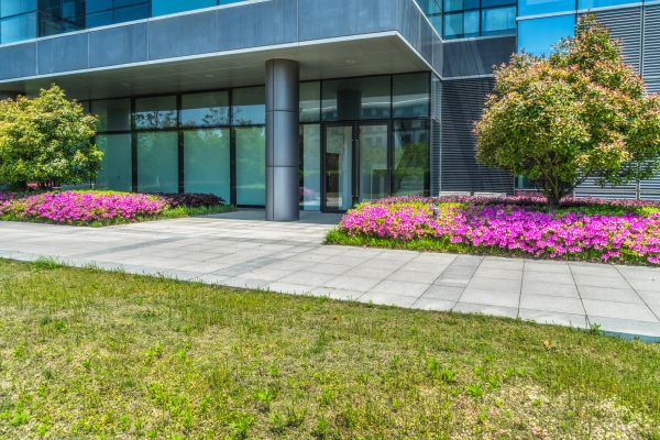 Commercial Gardening in Cedar Park