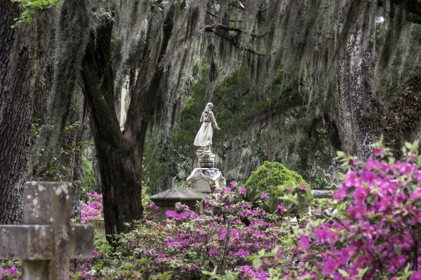 Cemetery Landscaping in Cedar Park