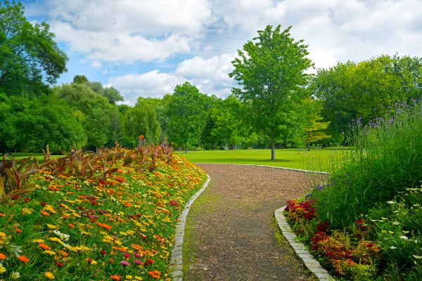 Park Landscaping in Cedar Park
