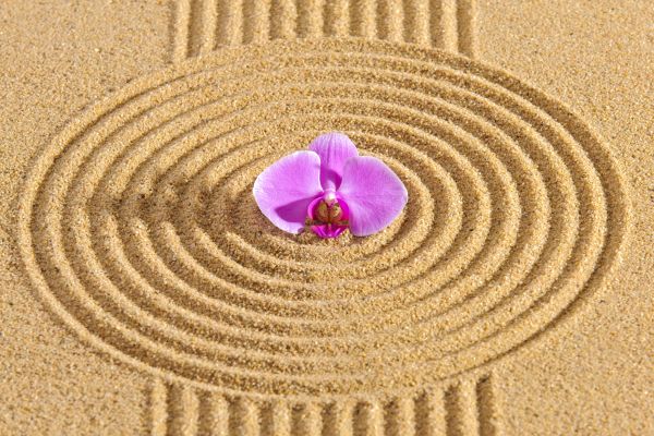 Sand Garden Landscaping in Cedar Park