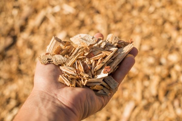 Wood Chips Spreading in Cedar Park