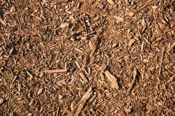 Wood Chips Removal in Cedar Park