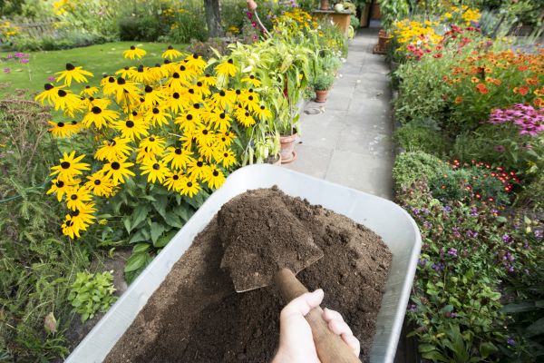 Topsoil Replacement in Cedar Park
