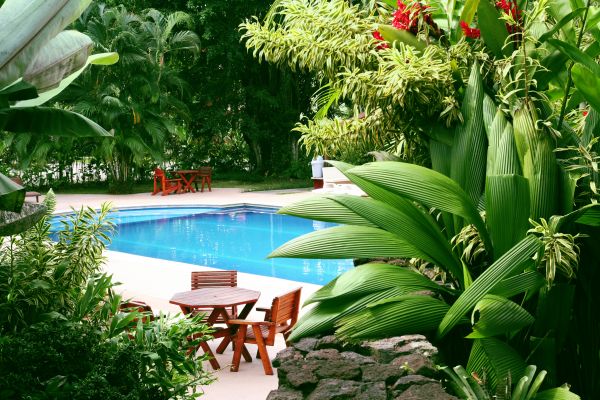 Pool Area Landscaping in Cedar Park
