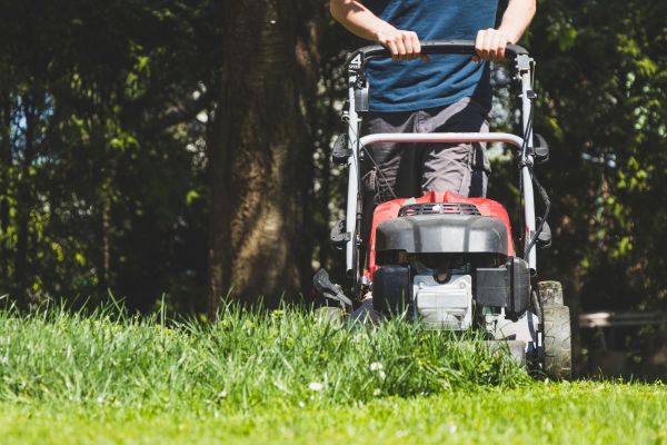 Garden Trimming Service in Cedar Park