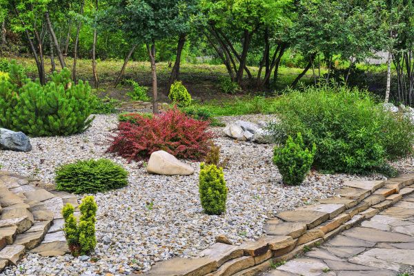Hardscape Landscaping in Cedar Park
