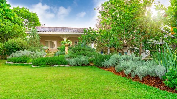 Greenery Planting in Cedar Park