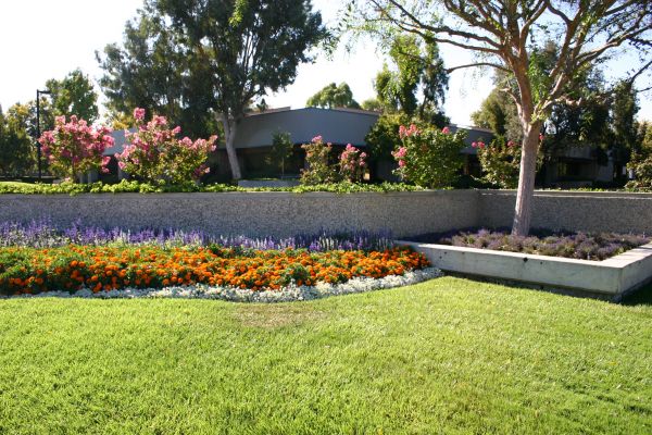 Commercial Landscape Service in Cedar Park