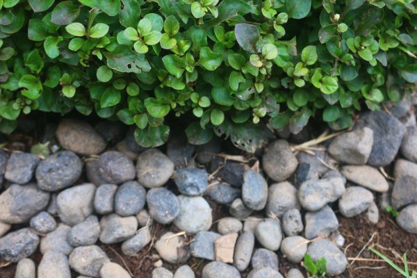 River Stone Installation in Cedar Park