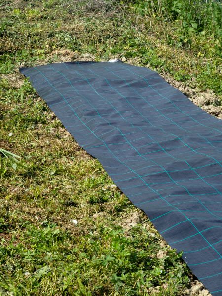 Weed Suppressant Installation in Cedar Park