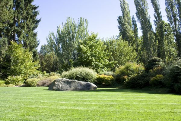 Yard Enlargement in Cedar Park