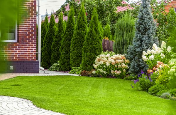 Spring Landscaping in Cedar Park
