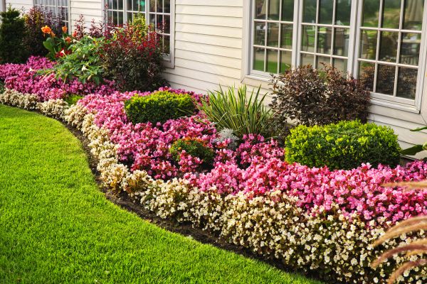 Garden Landscape Design in Cedar Park