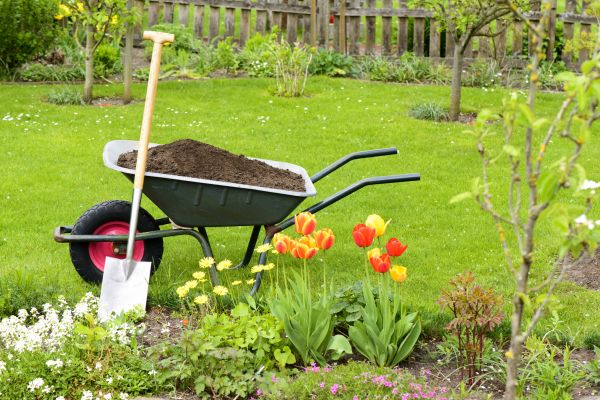 Spring Yard Renovation in Cedar Park