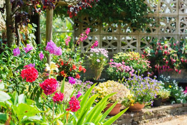 Spring Garden Maintenance in Cedar Park