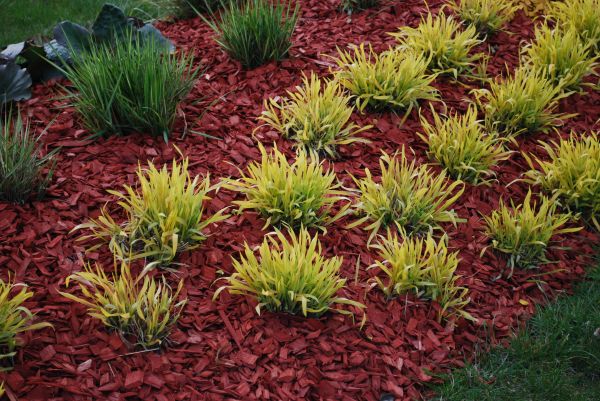 Red Mulch Installation in Cedar Park