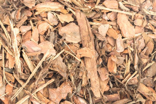 Bark Mulch Installation in Cedar Park