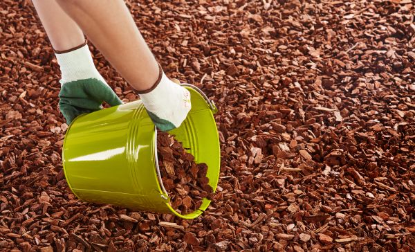 Wood Chip Landscaping in Cedar Park