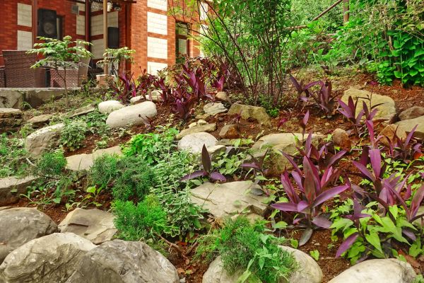 Rock Garden Landscaping in Cedar Park
