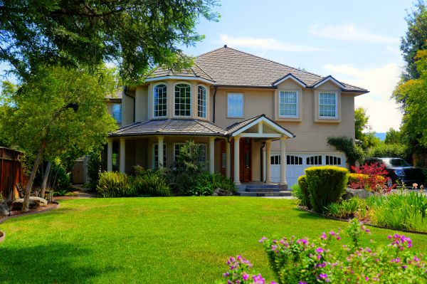 Large Yard Landscaping in Cedar Park