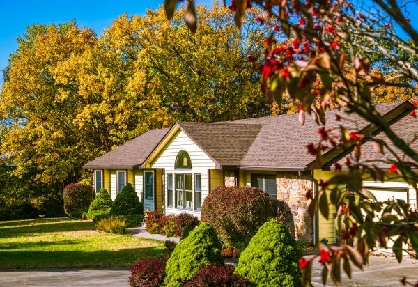 Ranch Landscaping in Cedar Park