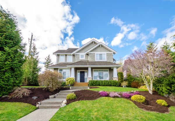 Landscaping Replacement in Cedar Park