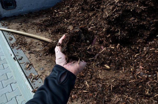 Condo Mulching in Cedar Park