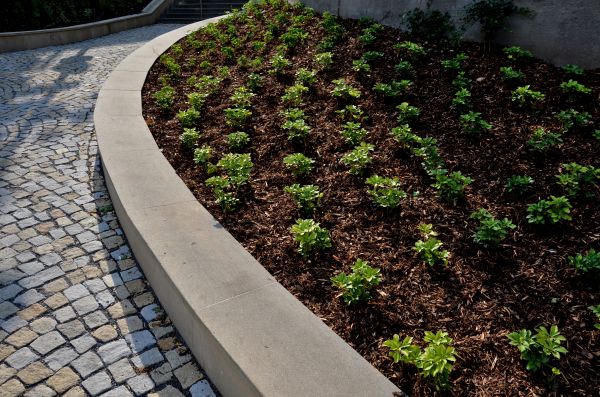 Commercial Mulching in Cedar Park